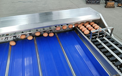 瑞昊機(jī)械為您介紹蛋品分選機(jī)的主要內(nèi)容